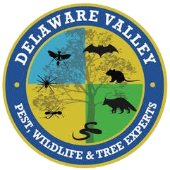 Del-Valley-Pest-and-Wildlife-Experts.png